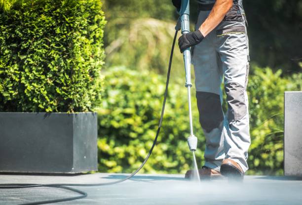 Best Pool Deck Cleaning  in Floral Park, NY