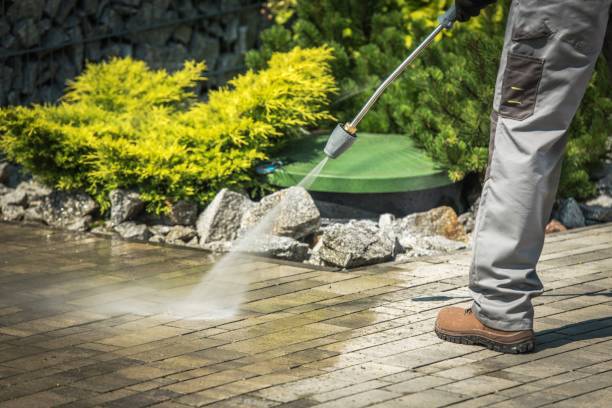 Best Patio and Deck Pressure Washing  in Floral Park, NY
