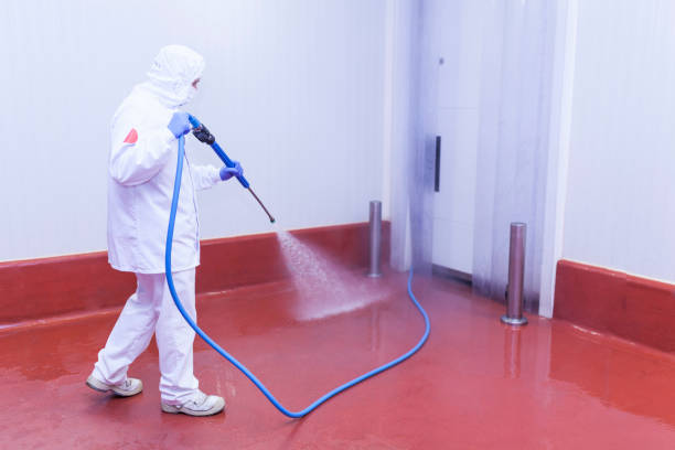 Best Restaurant Pressure Washing  in Floral Park, NY